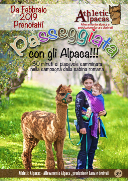 catalogo alpaca 2018 2019 pagina  39