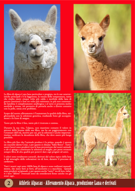 catalogo alpaca 2018 2019 pagina  02