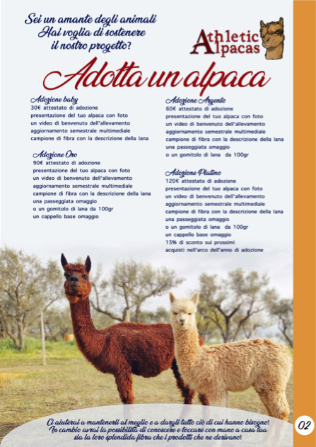 catalogo alpaca 2019 2020 pagina 02