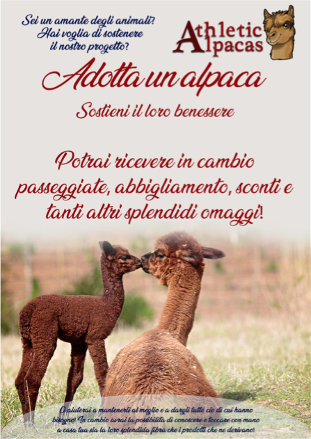 catalogo alpaca 2019 2020 pagina 95