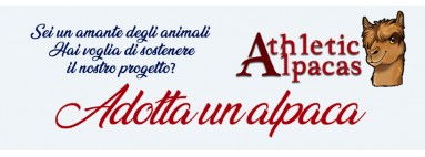 Adotta un alpaca